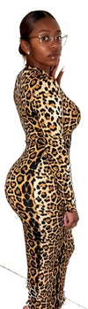 Leopard Print Dress